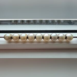 Pandora essence Dignity charm